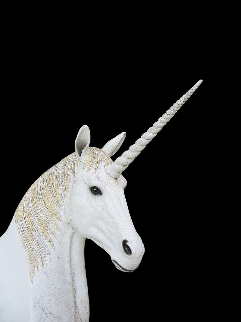 Unicorn meadow